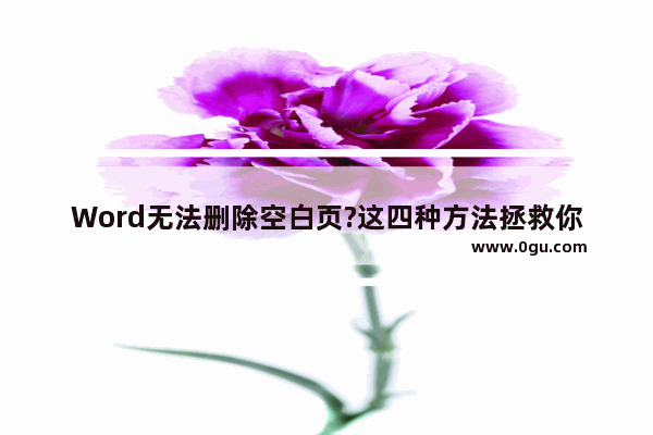 Word无法删除空白页?这四种方法拯救你