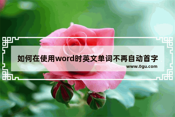 如何在使用word时英文单词不再自动首字母大写