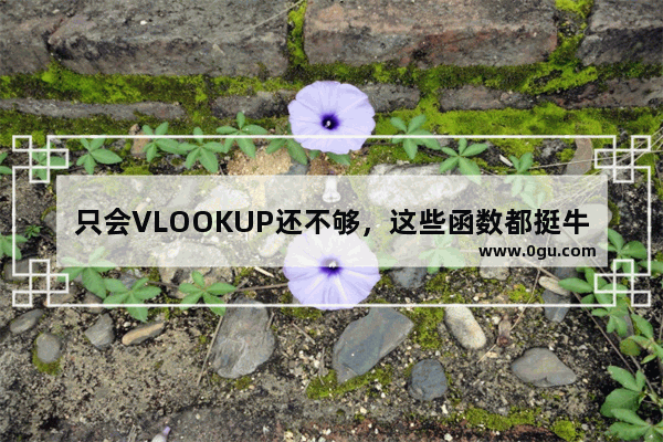 只会VLOOKUP还不够，这些函数都挺牛