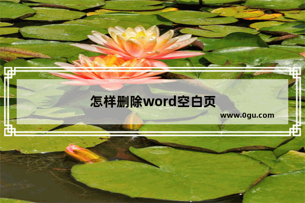 怎样删除word空白页