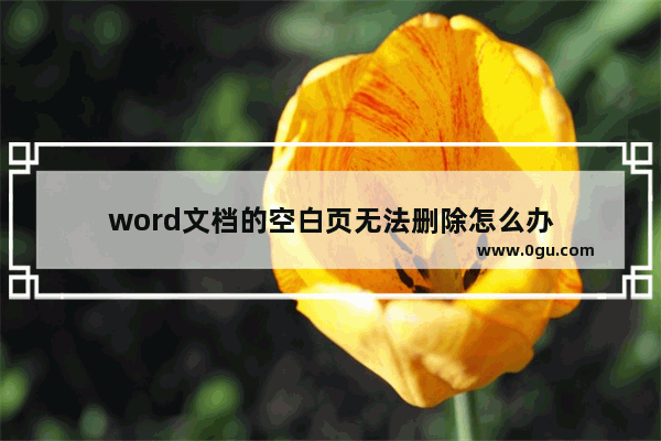 word文档的空白页无法删除怎么办