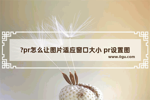 ?pr怎么让图片适应窗口大小 pr设置图片适应屏幕大小的方法教程