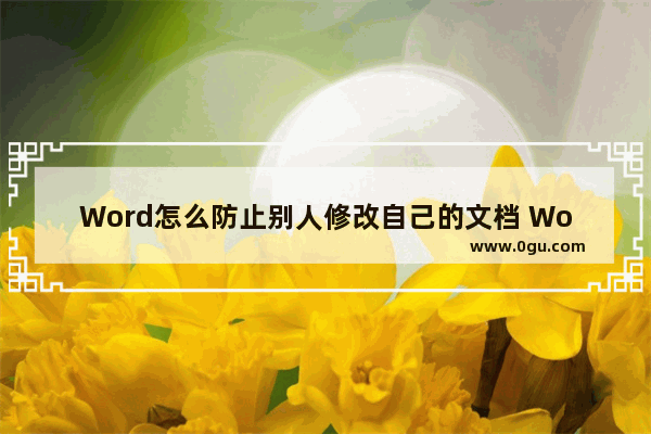 Word怎么防止别人修改自己的文档 Word开启文档保护的方法