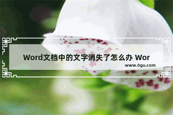 Word文档中的文字消失了怎么办 Word恢复被隐藏的文字的方法