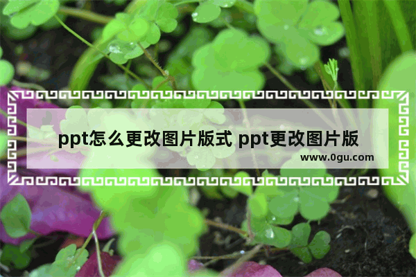 ppt怎么更改图片版式 ppt更改图片版式的方法