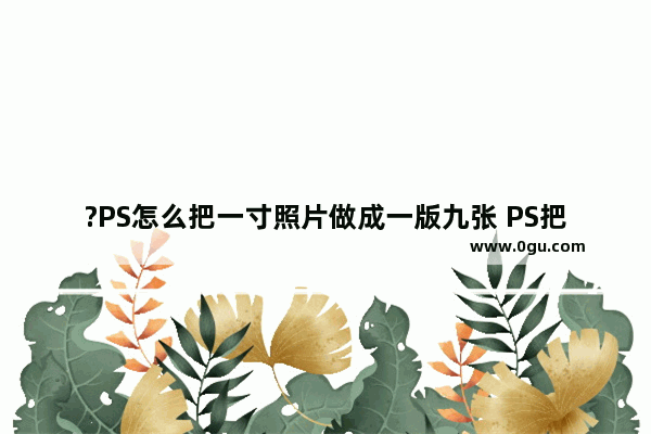 ?PS怎么把一寸照片做成一版九张 PS把1寸证件照排版9张的方法教程