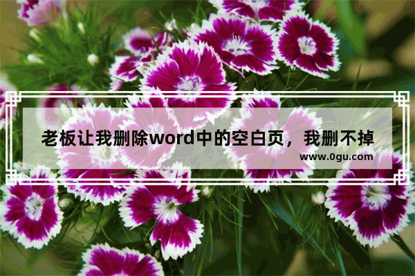 老板让我删除word中的空白页，我删不掉，同事点点鼠标就搞定