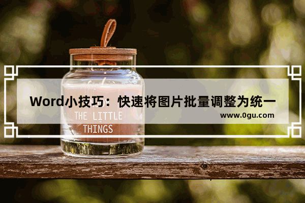 Word小技巧：快速将图片批量调整为统一大小