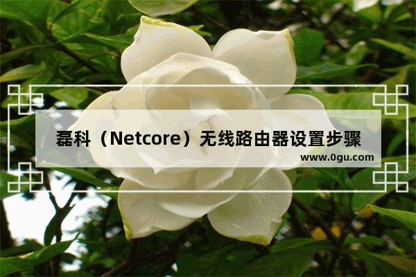 磊科（Netcore）无线路由器设置步骤(图文教程)