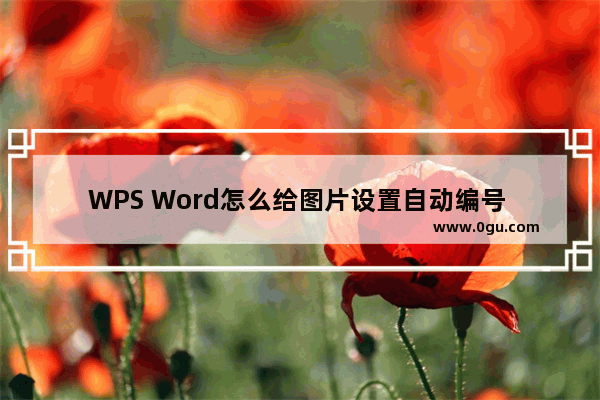 WPS Word怎么给图片设置自动编号 WPS Word设置图片自动编号的方法