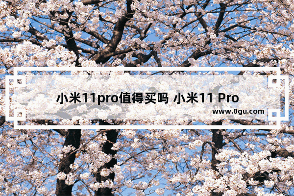 小米11pro值得买吗 小米11 Pro入手体验