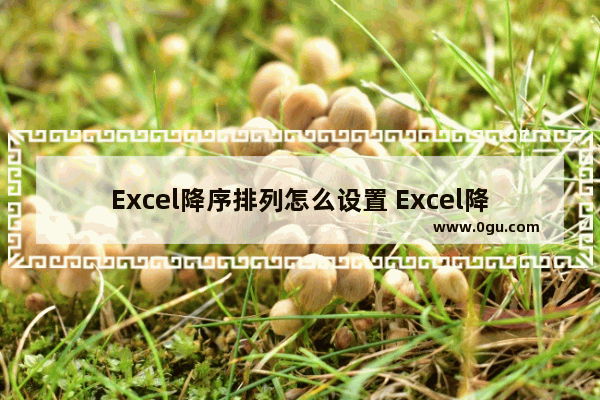 Excel降序排列怎么设置 Excel降序排列的方法