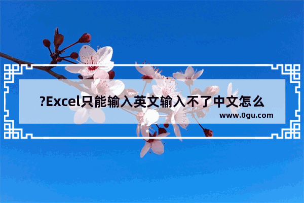 ?Excel只能输入英文输入不了中文怎么办 Excel表格解决无法打汉字只能打字母的方法教程