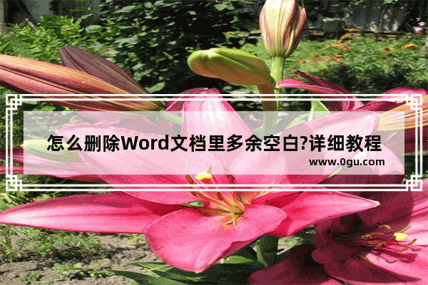 怎么删除Word文档里多余空白?详细教程来了