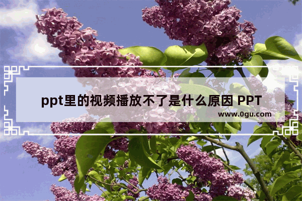 ppt里的视频播放不了是什么原因 PPT里插入的视频无法播放解决方法