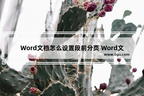 Word文档怎么设置段前分页 Word文档设置段前分页的方法