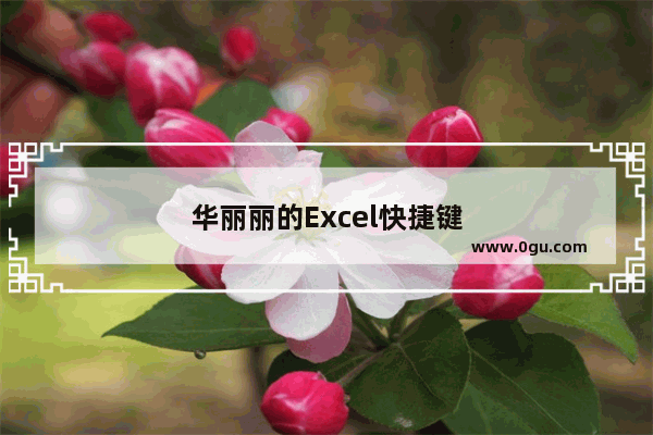 华丽丽的Excel快捷键