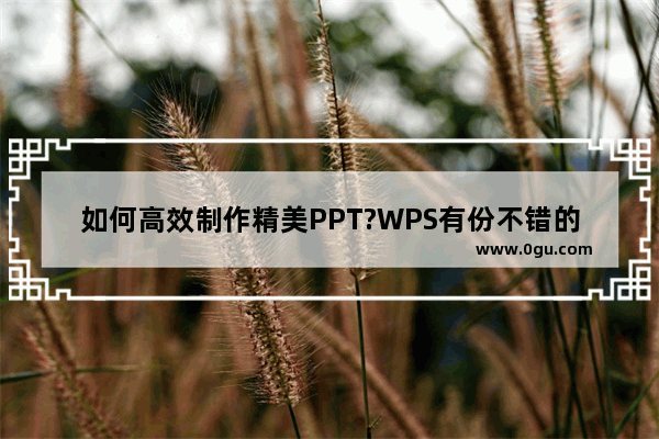 如何高效制作精美PPT?WPS有份不错的答案