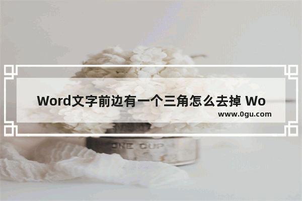 Word文字前边有一个三角怎么去掉 Word文字前边有一个三角的解决方法