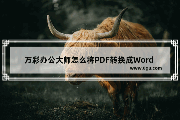 万彩办公大师怎么将PDF转换成Word 万彩办公大师将PDF转换成Word的方法