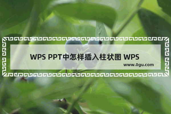 WPS PPT中怎样插入柱状图 WPS PPT制作柱形图的方法