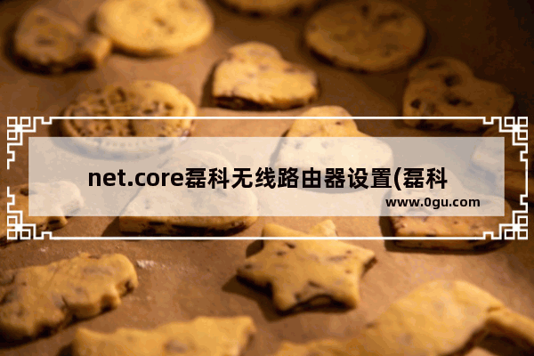 net.core磊科无线路由器设置(磊科nw614路由器设置)