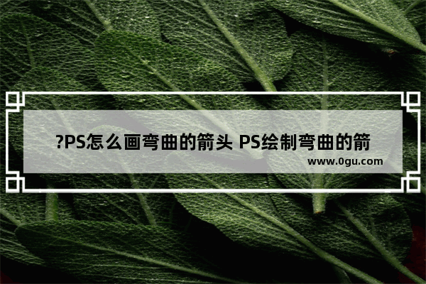 ?PS怎么画弯曲的箭头 PS绘制弯曲的箭头形状的方法教程