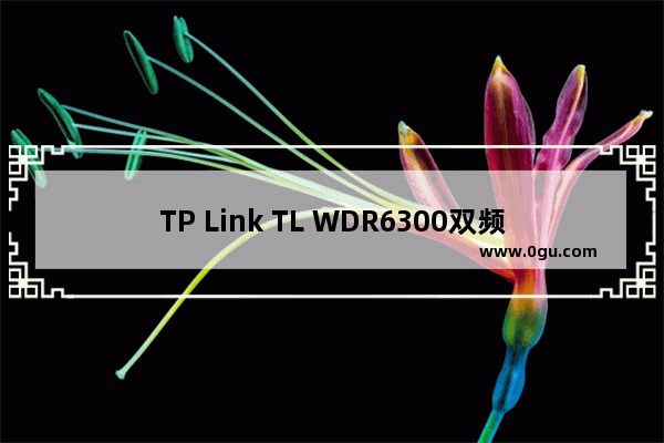 TP Link TL WDR6300双频无线路由器如何设置