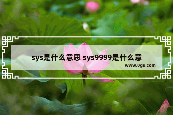 sys是什么意思 sys9999是什么意思