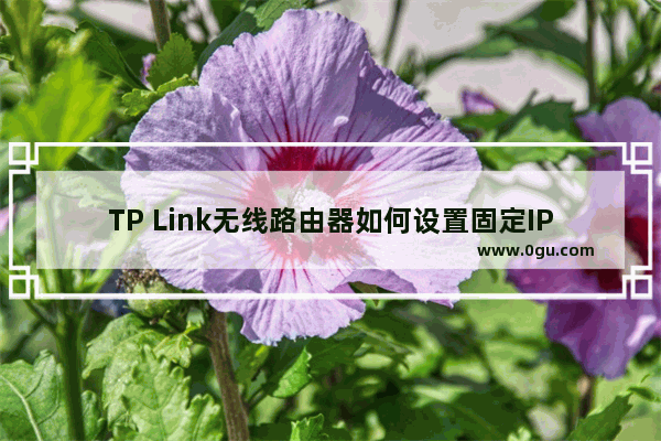 TP Link无线路由器如何设置固定IP地址上网