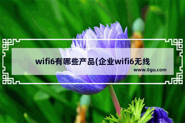 wifi6有哪些产品(企业wifi6无线路由)