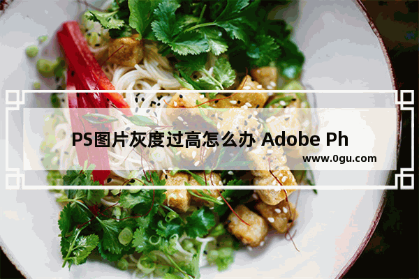 PS图片灰度过高怎么办 Adobe Photoshop将图片颜色调亮一点的方法