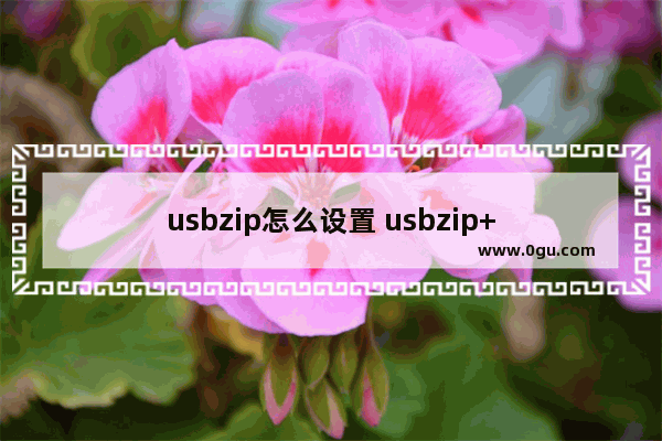 usbzip怎么设置 usbzip+