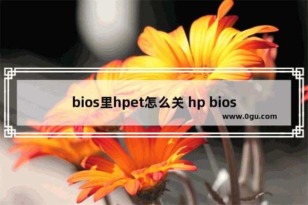 bios里hpet怎么关 hp bios update怎么关闭