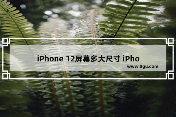 iPhone 12屏幕多大尺寸 iPhone 12全系对比