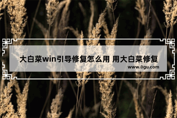 大白菜win引导修复怎么用 用大白菜修复win10引导文件