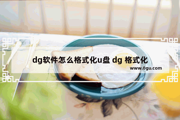 dg软件怎么格式化u盘 dg 格式化