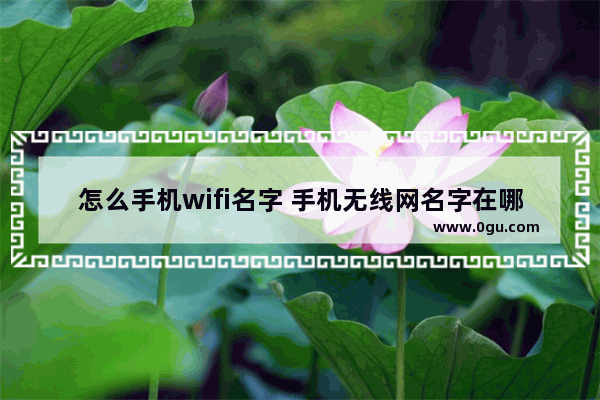 怎么手机wifi名字 手机无线网名字在哪里