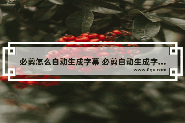 必剪怎么自动生成字幕 必剪自动生成字幕的方法