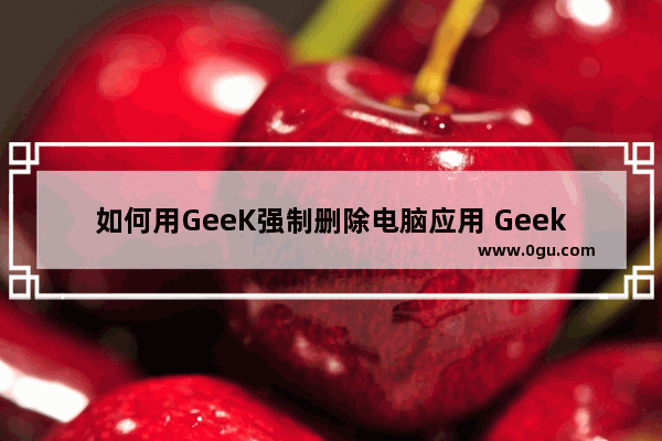 如何用GeeK强制删除电脑应用 Geek Uninstaller一键卸载软件程序的方法