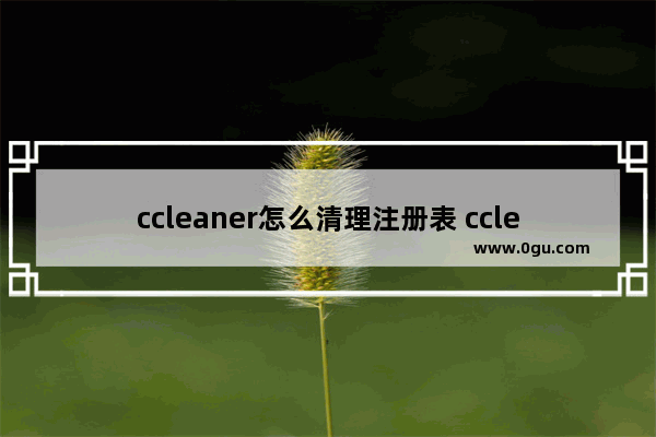 ccleaner怎么清理注册表 ccleaner清理注册表的方法