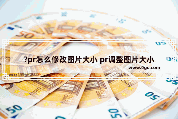 ?pr怎么修改图片大小 pr调整图片大小的方法教程