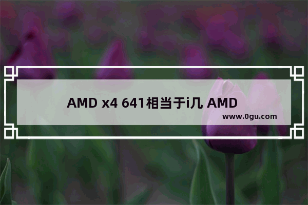 AMD x4 641相当于i几 AMD x4 641和因特尔对比