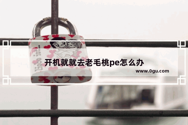 开机就就去老毛桃pe怎么办