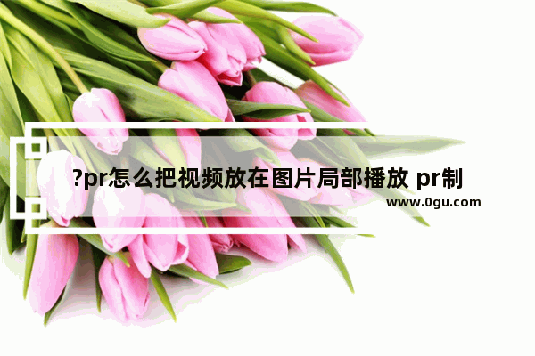 ?pr怎么把视频放在图片局部播放 pr制作视频在图片局部播放效果的方法教程