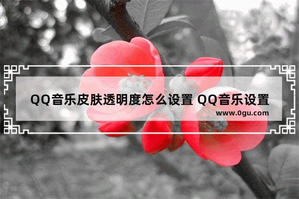 QQ音乐皮肤透明度怎么设置 QQ音乐设置皮肤透明度的方法