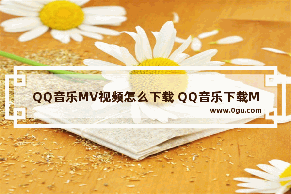 QQ音乐MV视频怎么下载 QQ音乐下载MV视频的方法