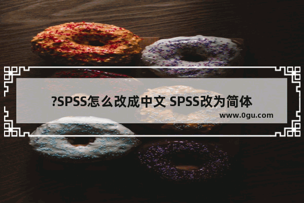 ?SPSS怎么改成中文 SPSS改为简体中文的方法教程