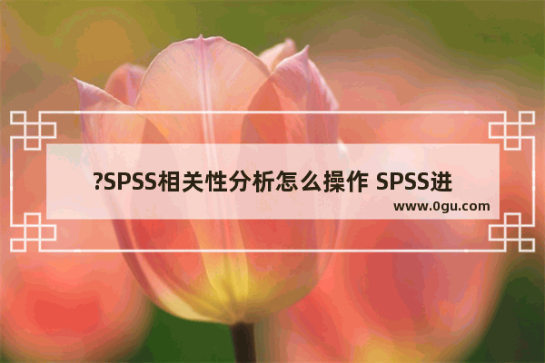 ?SPSS相关性分析怎么操作 SPSS进行相关分析的方法教程