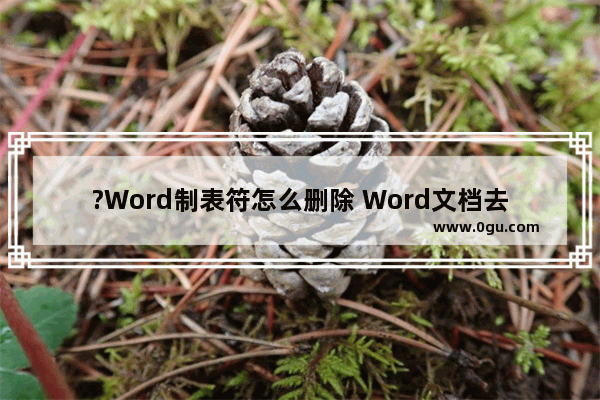 ?Word制表符怎么删除 Word文档去除制表符的方法教程